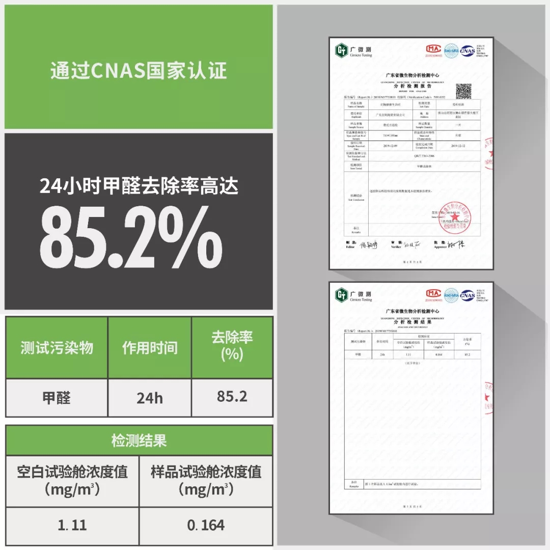 币游除甲醛权威检测数据