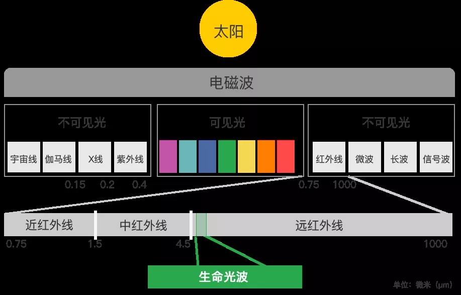 币游手艺原理