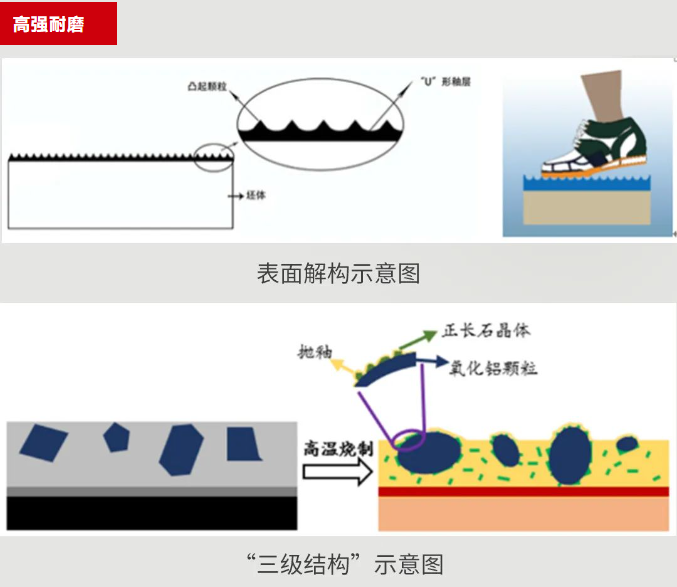 币游·国际(中国游)官方网站