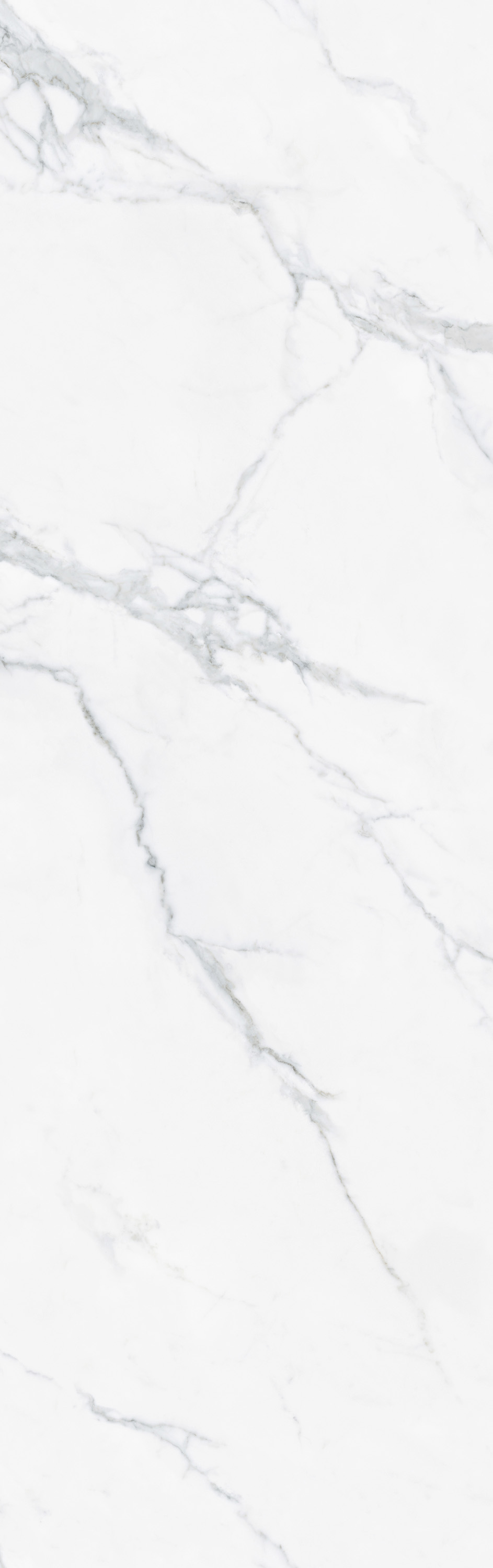 币游·国际(中国游)官方网站