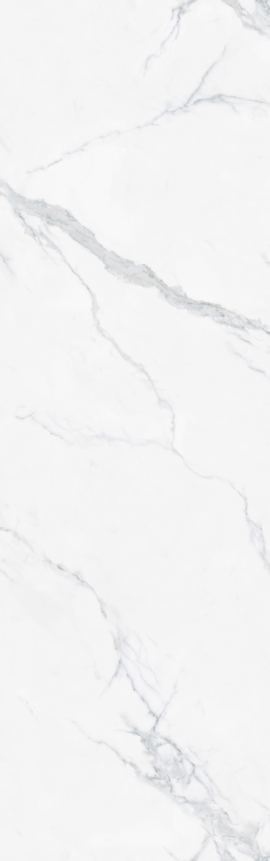 币游·国际(中国游)官方网站