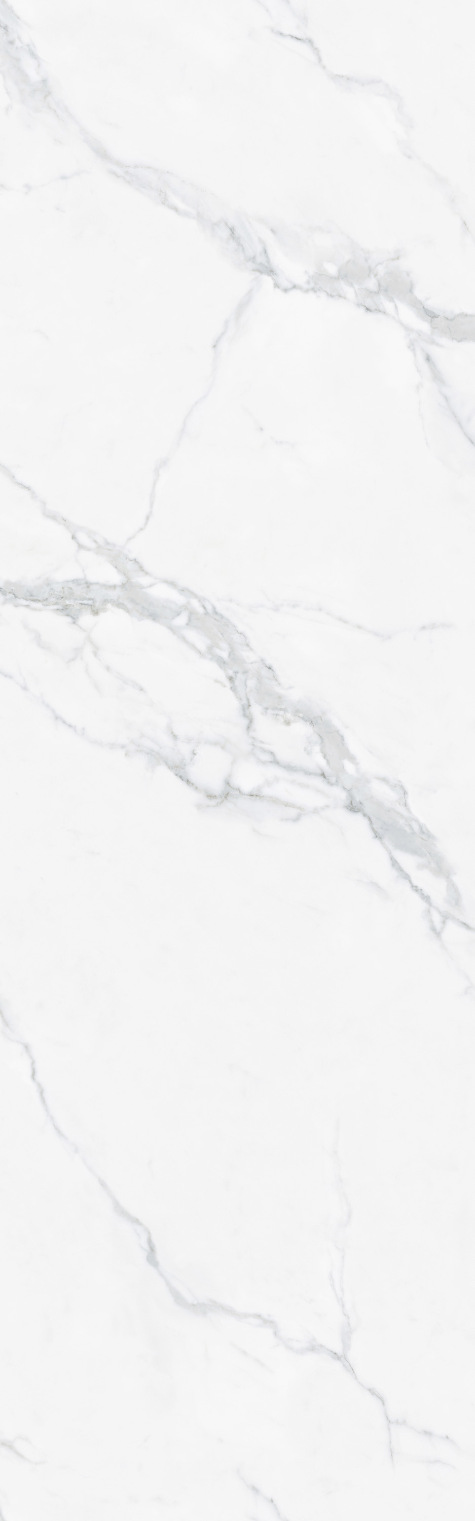 币游·国际(中国游)官方网站