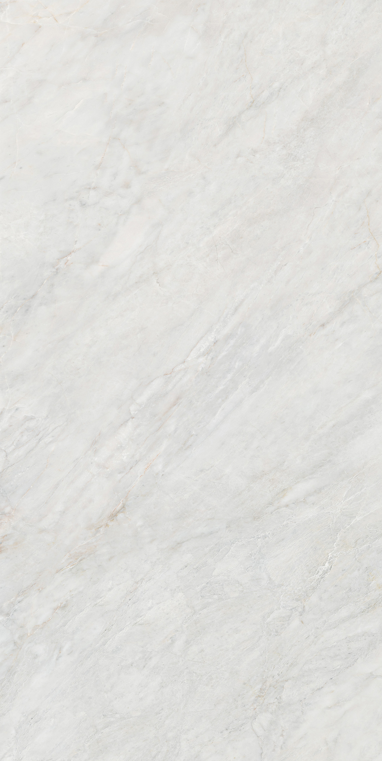 币游·国际(中国游)官方网站