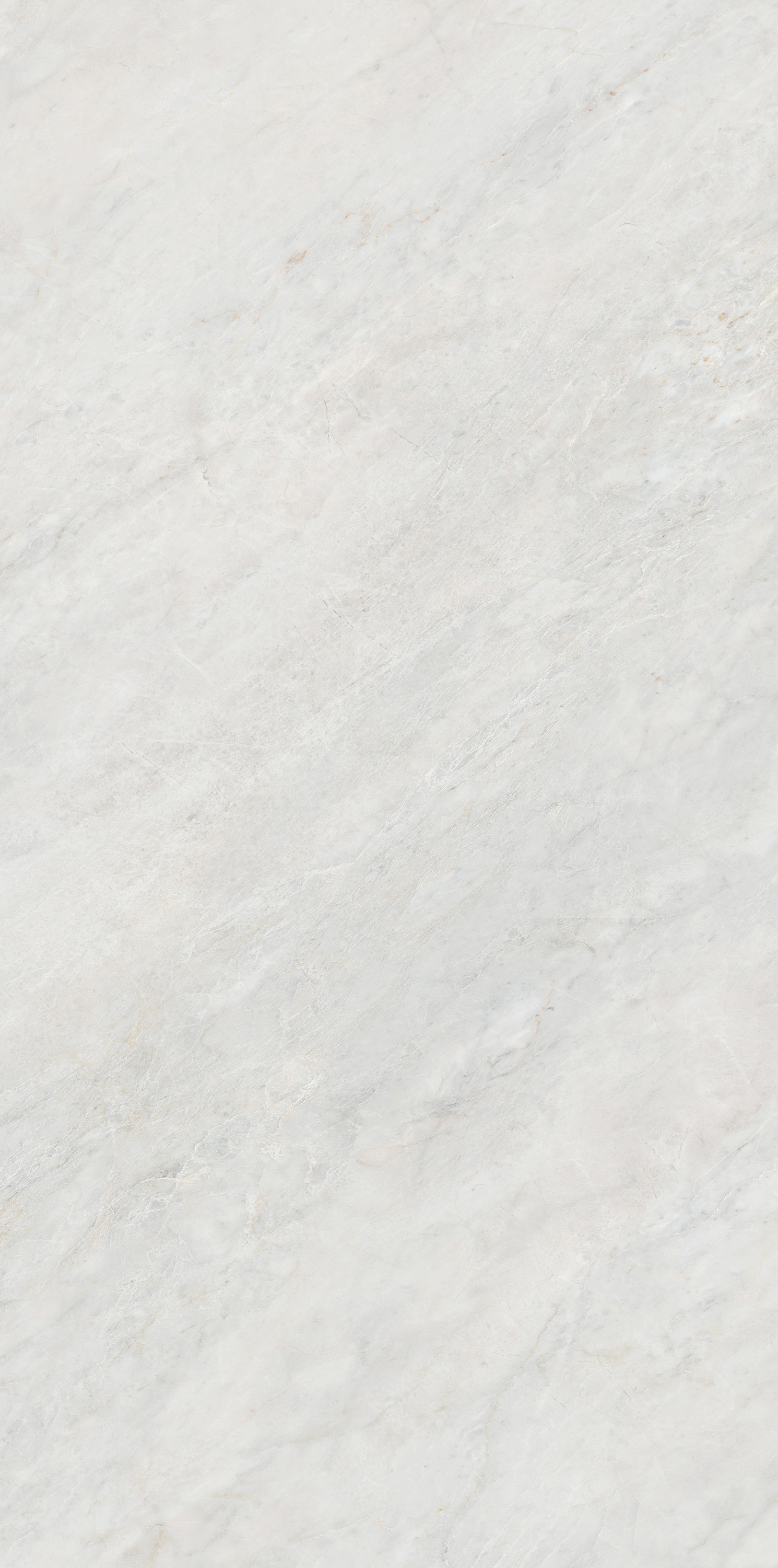 币游·国际(中国游)官方网站