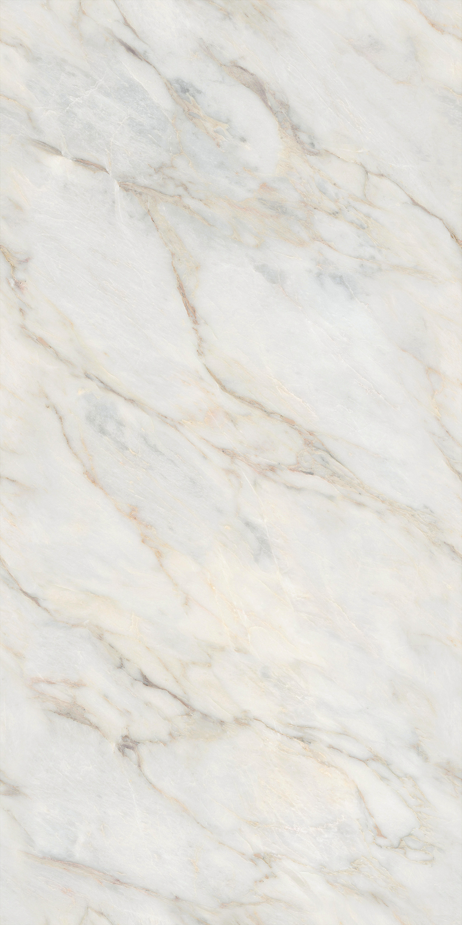 币游·国际(中国游)官方网站