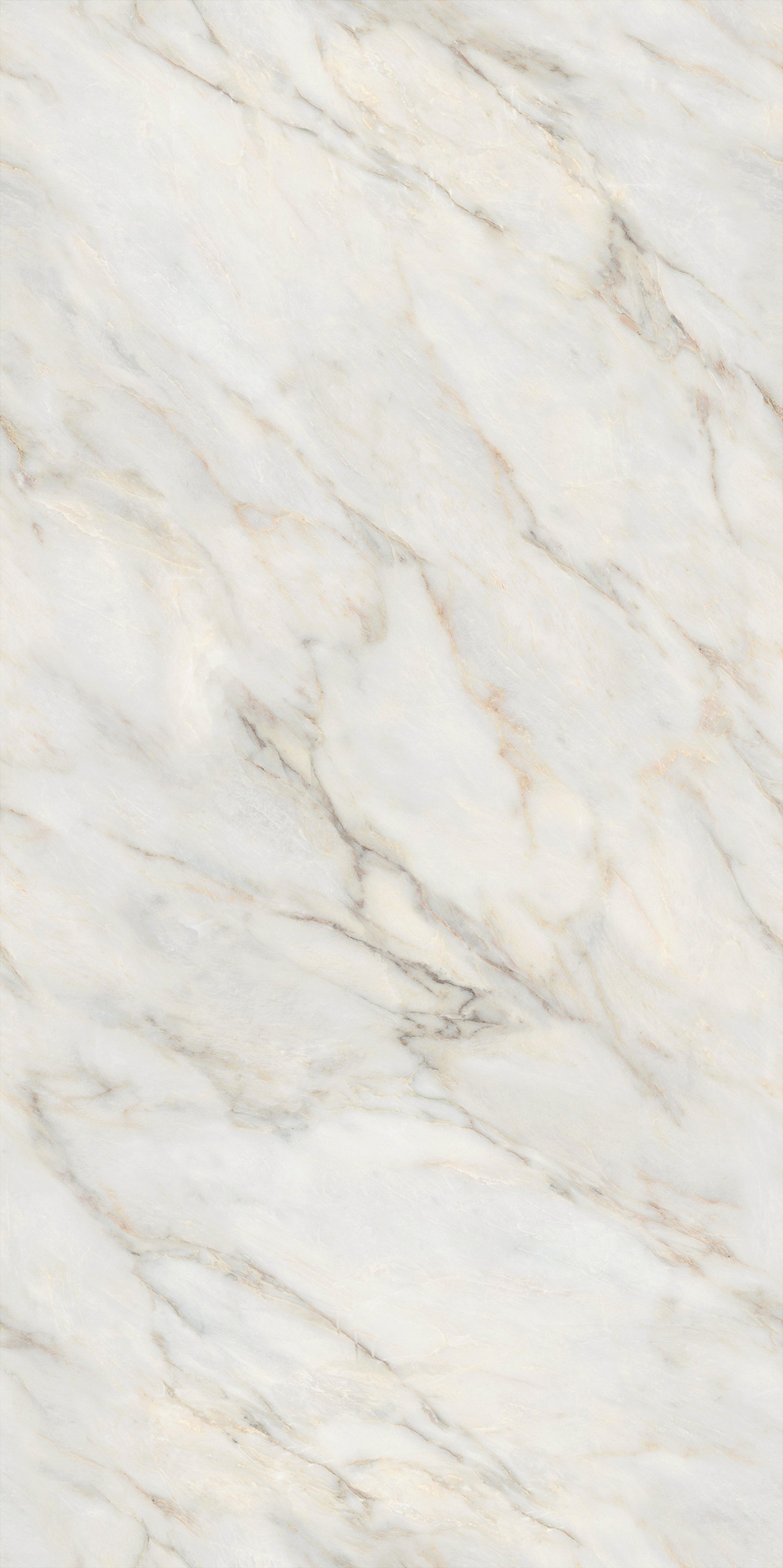 币游·国际(中国游)官方网站