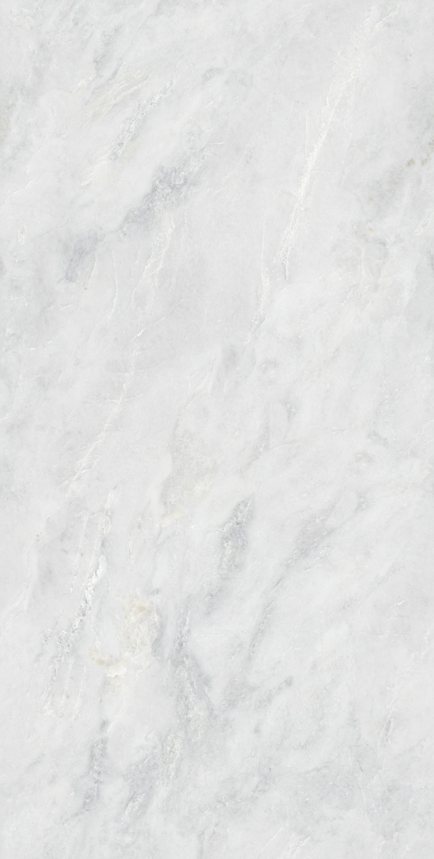 币游·国际(中国游)官方网站