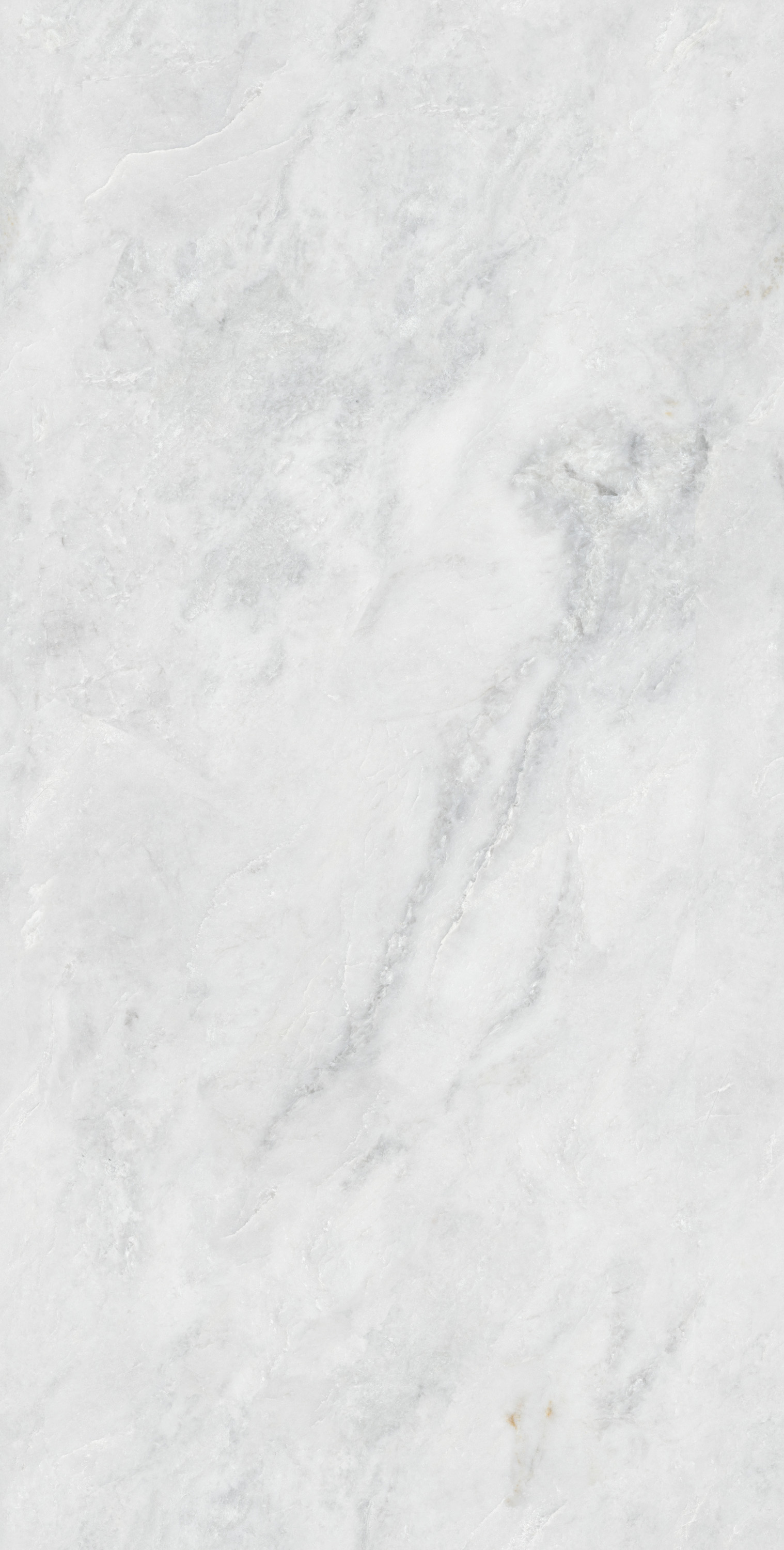 币游·国际(中国游)官方网站